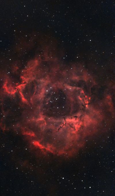 NGC 2237 - Rosseta Nebula - 2026-03-23
