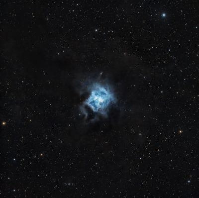 NGC 7023 Iris, ED80 F/7.5, 2 hrs