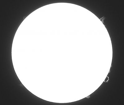 Солнце . Арка и Солнечные протуберанцы. 17.08.2021.      