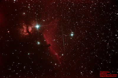 Horsehead and Flame Nebula
