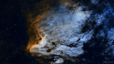 Pelican Nebula