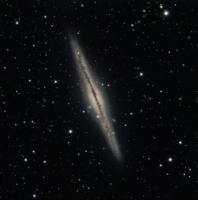 NGC891
