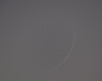 Пролет трех птиц на фоне очень тонкой Луны 2,6%. 30.06.23. Gif