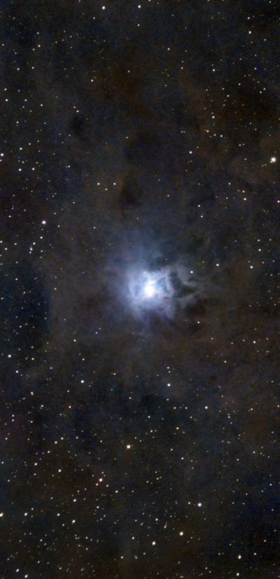 NGC 7023 - Iris nebula - 20 hours - Astrophotography