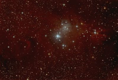 NGC 2264 - Cone Nebula