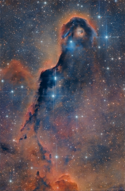 «Хобот слона» (IC 1396A)