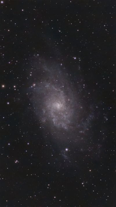 M33