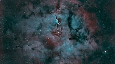IC1396 Elephant Trunk Nebula