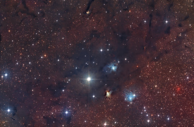 Iris Nebula (LBN 408) with companions. - Astrophotography