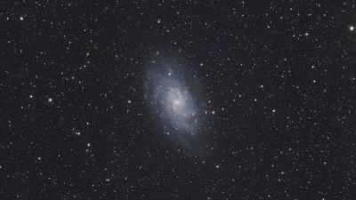 M 33 