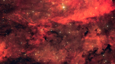 IC1318 - Astrophotography