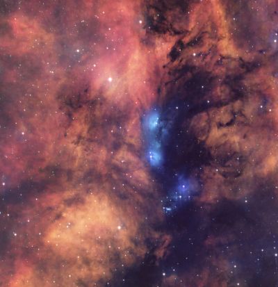 NGC 6914 в созвездии Лебедя - астрофотография