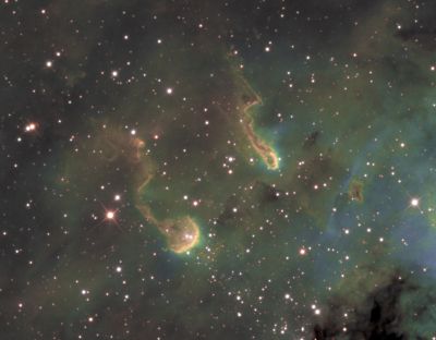 IC 410 (Tadpoles crop)