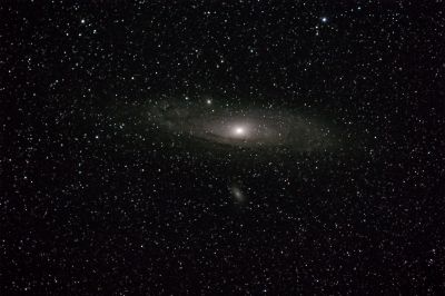 M31