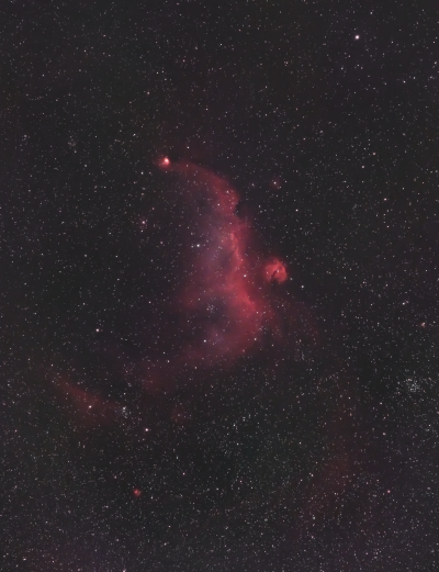 Туманность Чайка в созвездии Единорога - астрофотография