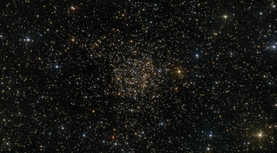 ngc7789