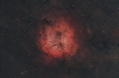 The Elephant Trunk Nebula