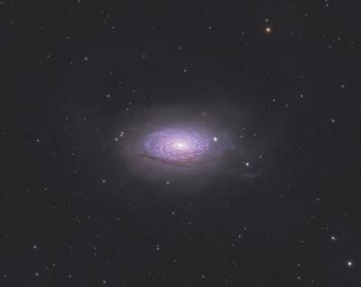 M63 Подсолнух