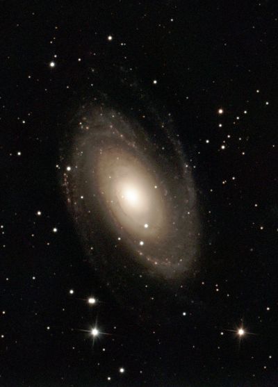 M  81