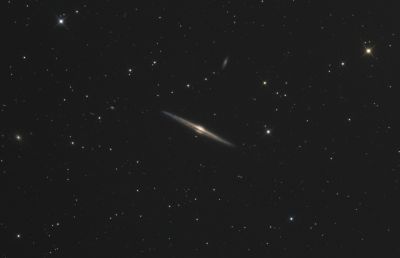 NGC 4565