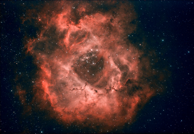 NGC 2238
