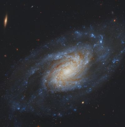 NGC 3370 - Astrophotography