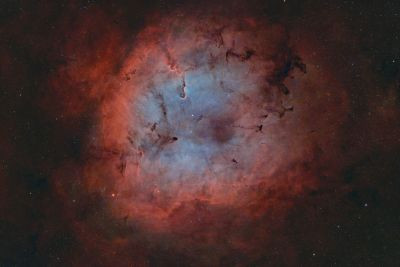 IC 1396 - Хобот слона