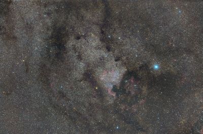 Cygnus region