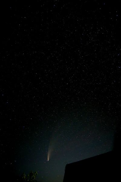 комета C/2020 F3