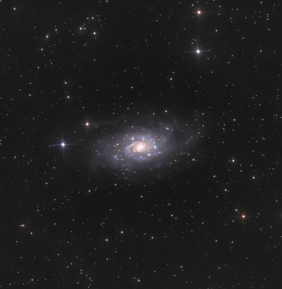 NGC 2403