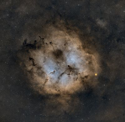 IC1396 