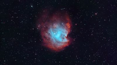 NGC 2175 Голова обезьяны