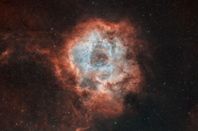 Туманность Розетка ( NGC 2237 ,Rosette Nebula