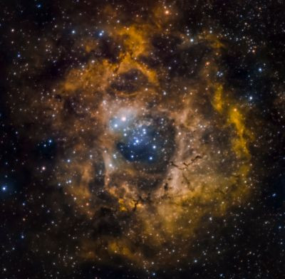 NGC 2237 Rosette Nebula - Astrophotography