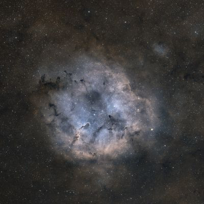 IC1396"Хобот слона"