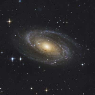 M81