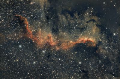 NGC7000. Туманность Северная Америка съемка 13.07.2024 Красноярск