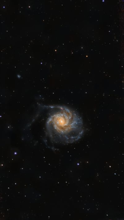 Галактика Вертушка (М 101)