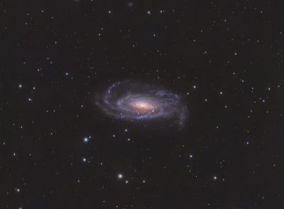 NGC5033 Water Bug Galaxy - Astrophotography