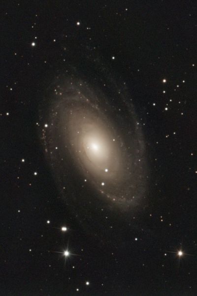 M  81