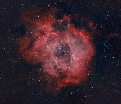 Туманность Розетка (NGC 2238)