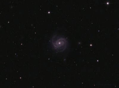 Галактика M100 20.04.2023  - астрофотография