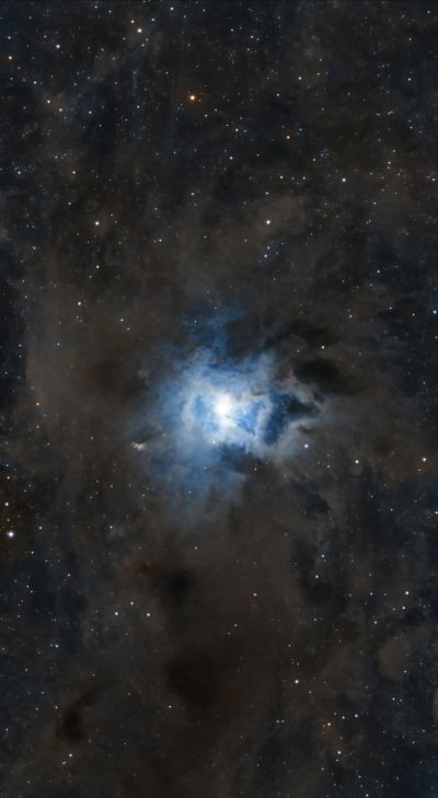 Caldwell 4 - Iris Nebula - Astrophotography