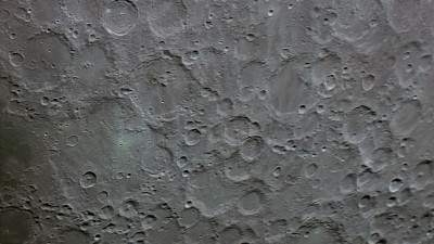 Вальтер и другие 20260328