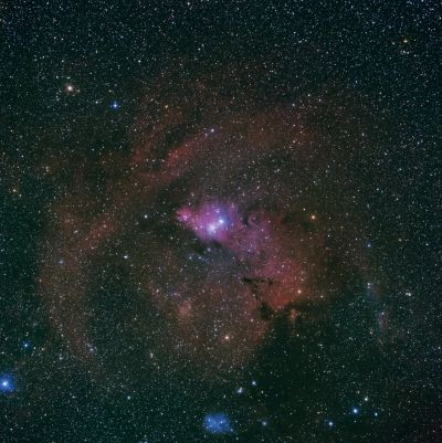 Туманность Конус и Кластер Рождественское Дерево