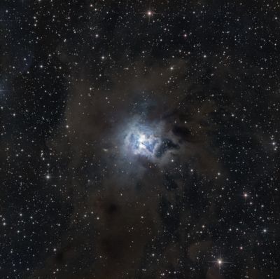 NGC7023 - Iris