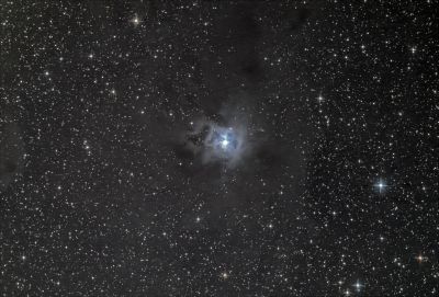 Iris Nebula (NGC 7023)