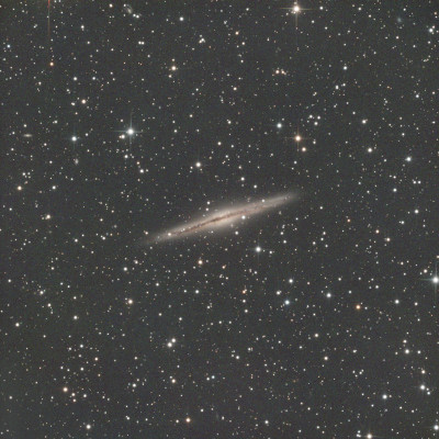 ngc 891 - Astrophotography