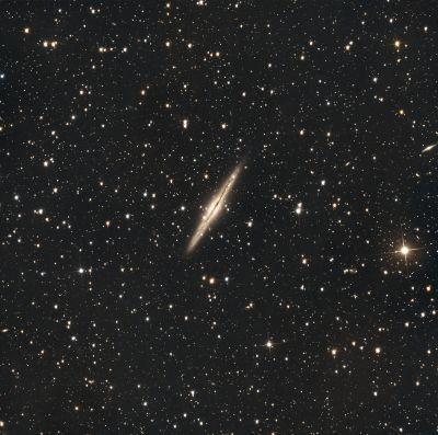 ngc 891