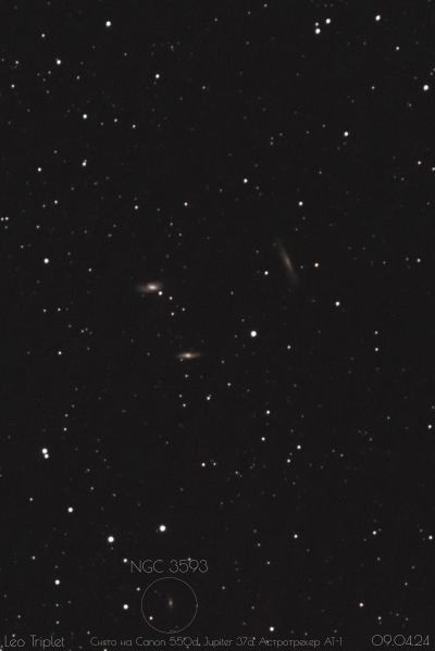 Триплет льва